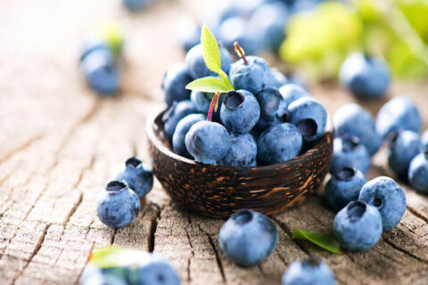 The Blueberries for Varicose Veins